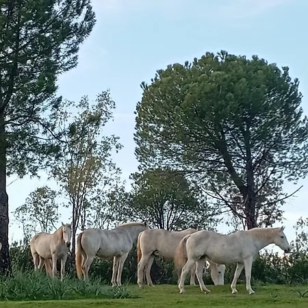 La Casa Del Paseo *